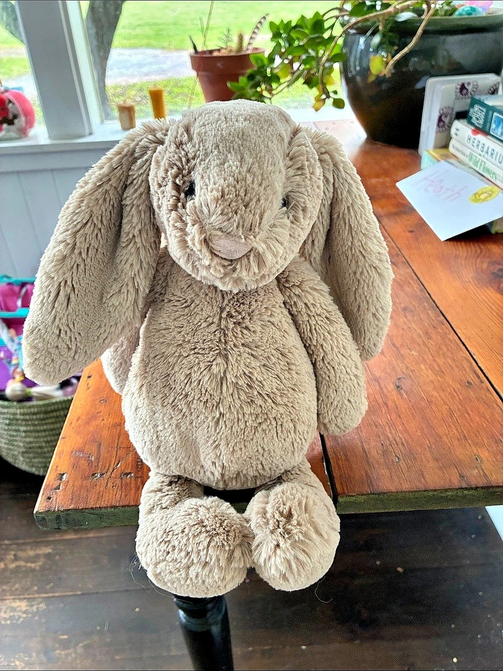 Jellycat Bunny